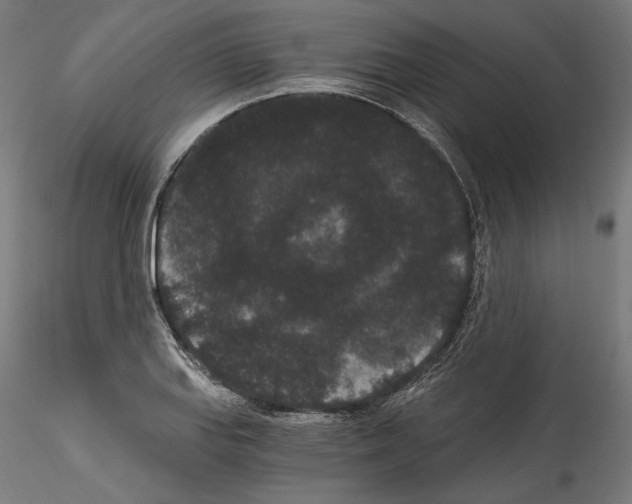 X0000114521127200911301110