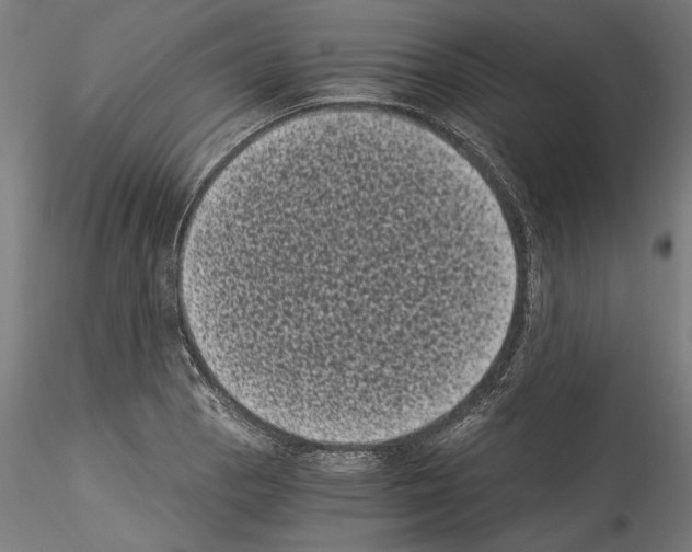 X0000114521129200911301110