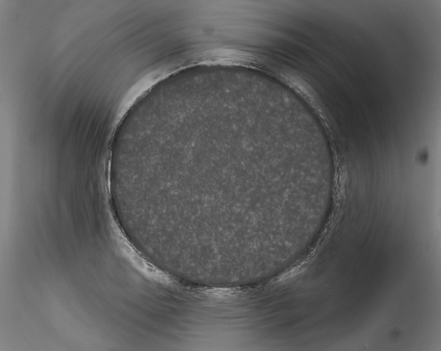 X0000114521130200911301110