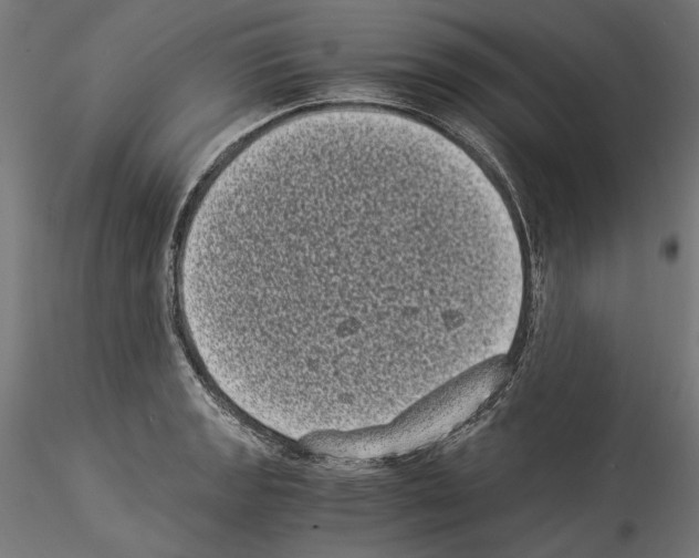 X0000114521133200911301110