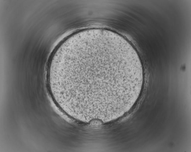 X0000114521134200911301110