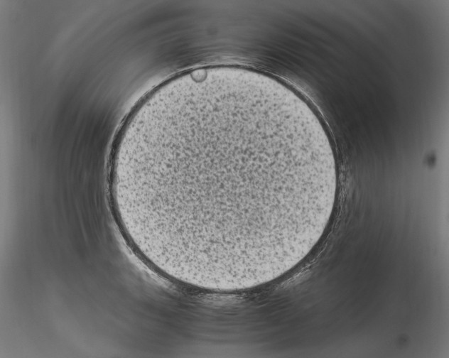 X0000114521135200911301110