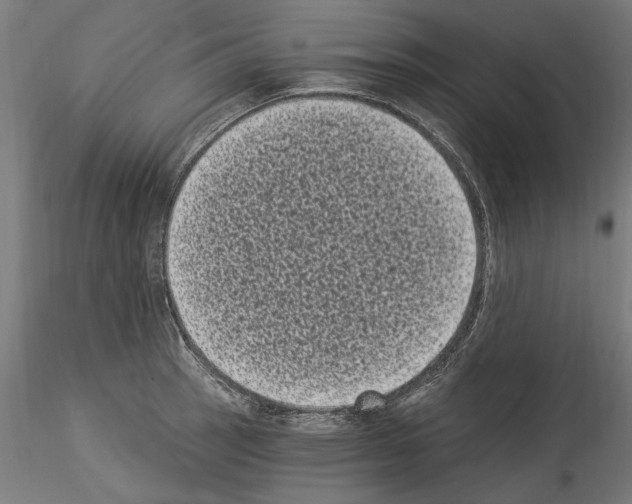 X0000114521137200911301110