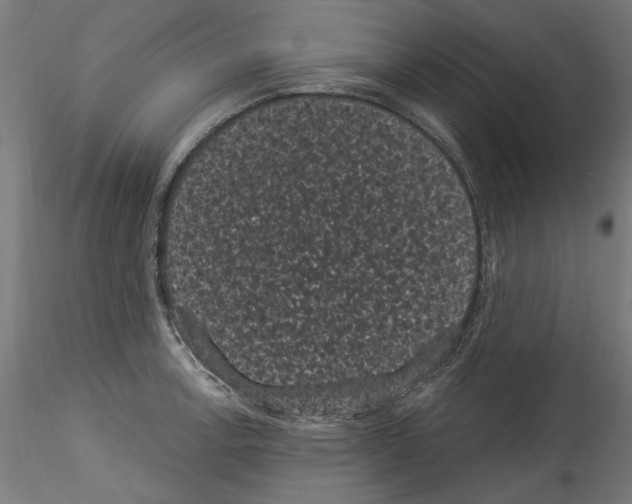 X0000114521138200911301110