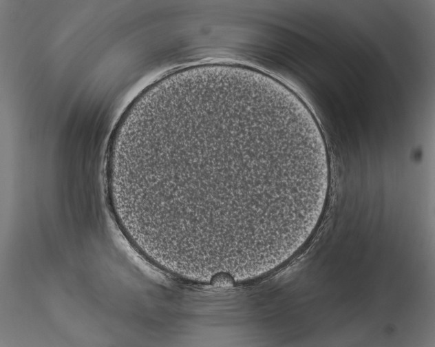 X0000114521142200911301110