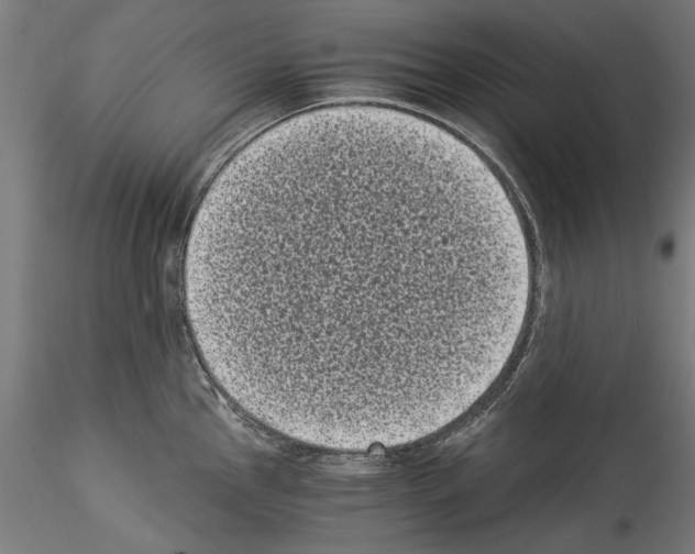 X0000114521145200911301110