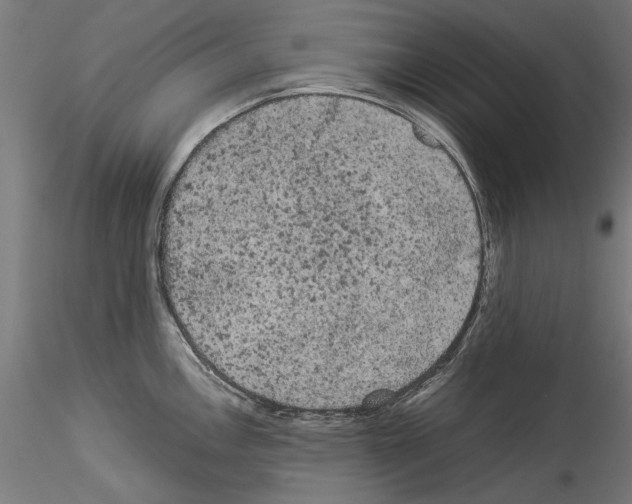 X0000114521146200911301110