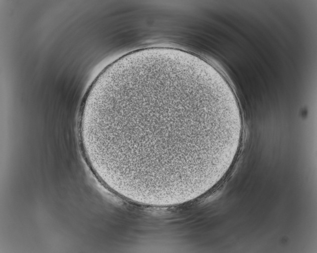 X0000114521149200911301110