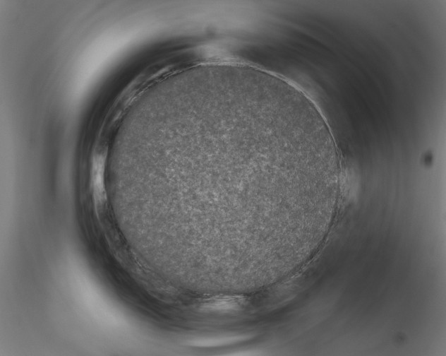 X0000114521150200911301110