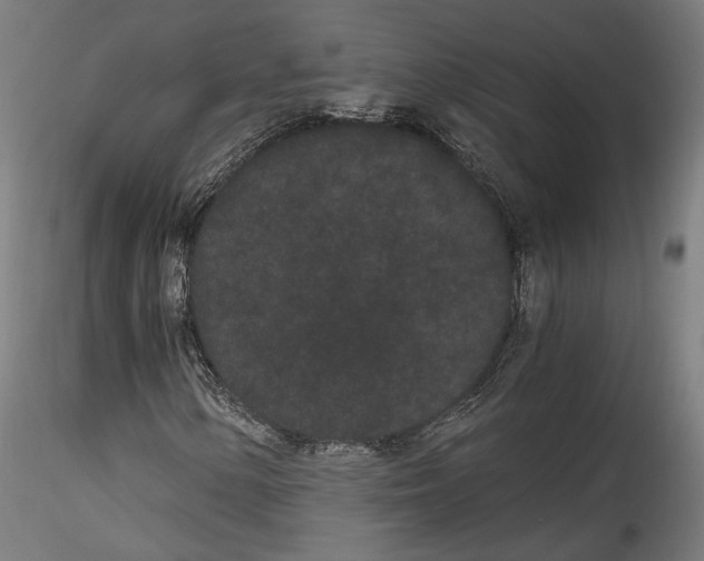 X0000114521154200911301110