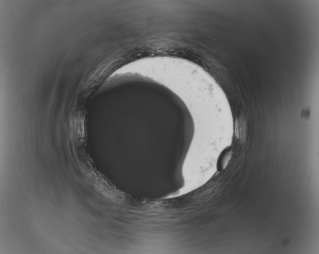 X0000114521155200911301110