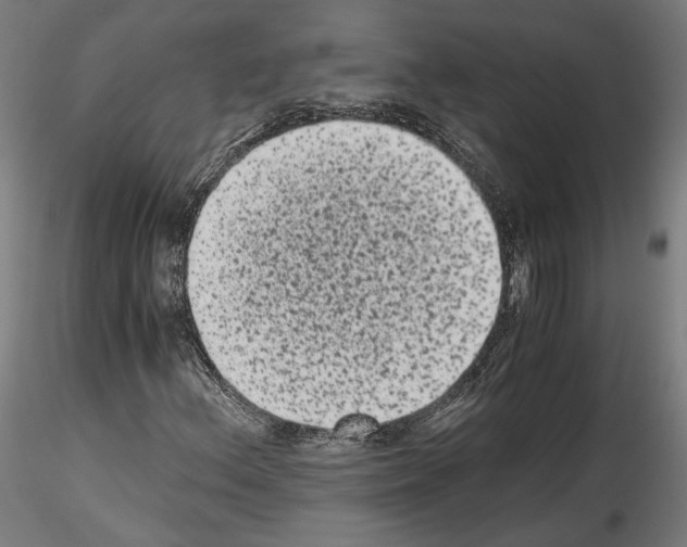 X0000114521156200911301110