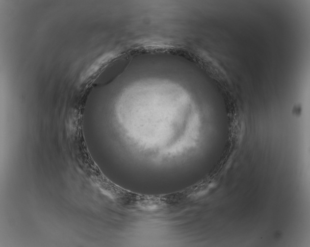 X0000114521157200911301110