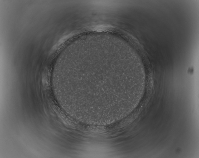 X0000114521158200911301110