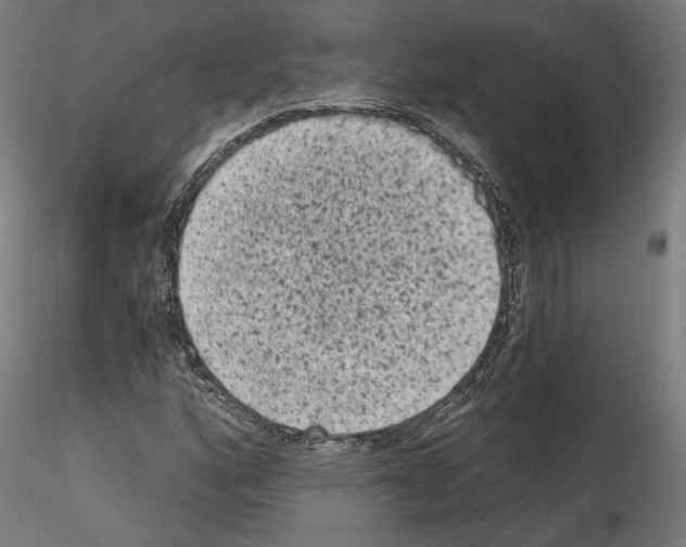 X0000114521160200911301110