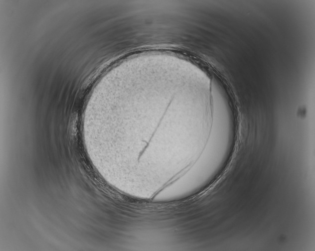 X0000114521161200911301110