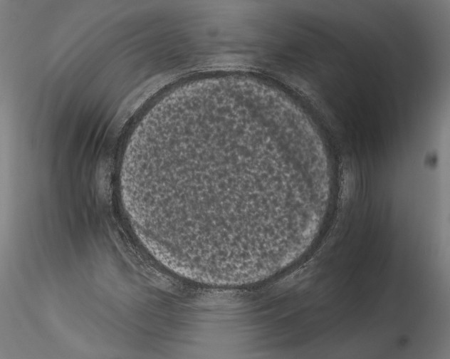 X0000114521162200911301110