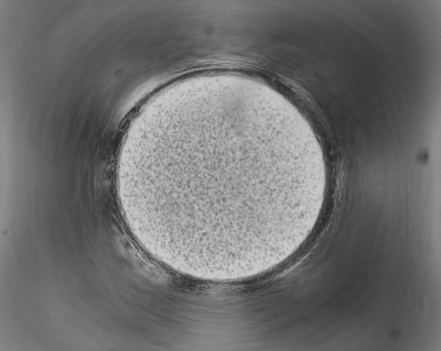 X0000114521163200911301110