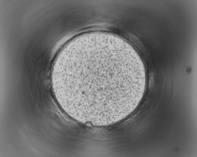 X0000114521164200911301110