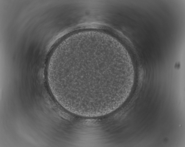 X0000114521166200911301109