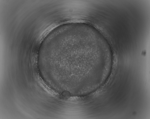 X0000114521169200911301109