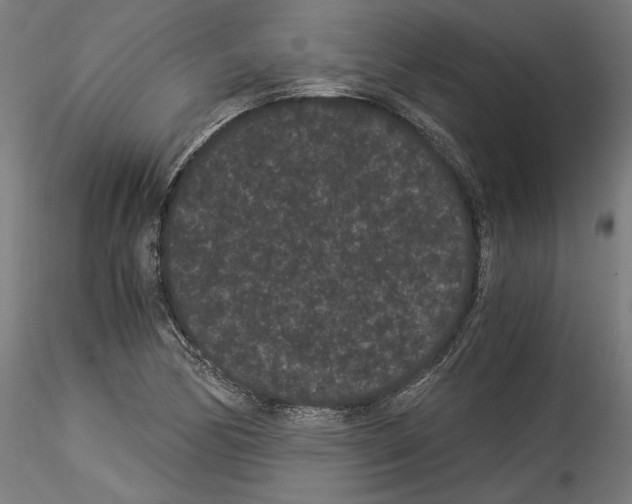 X0000114521170200911301109