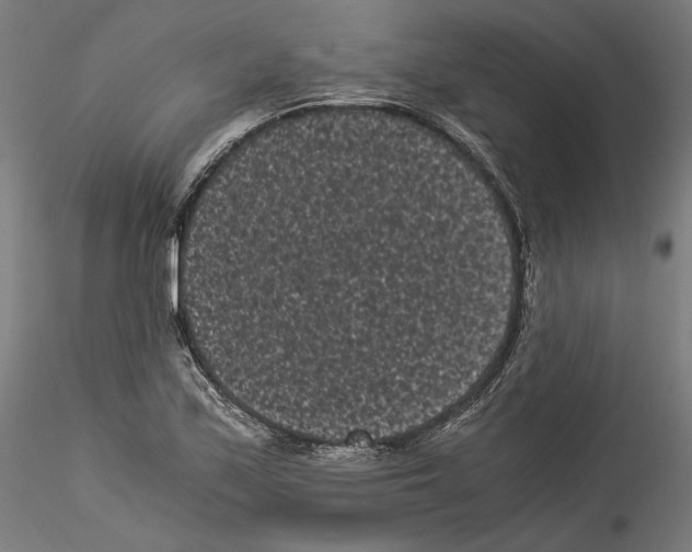 X0000114521171200911301109