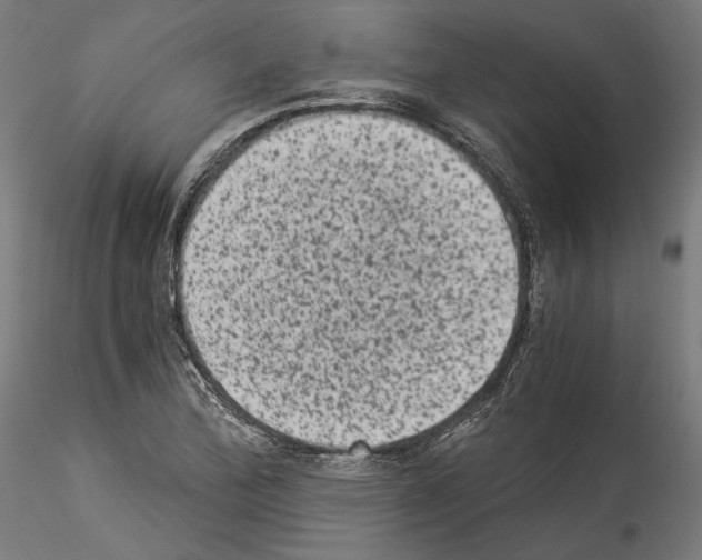 X0000114521172200911301109