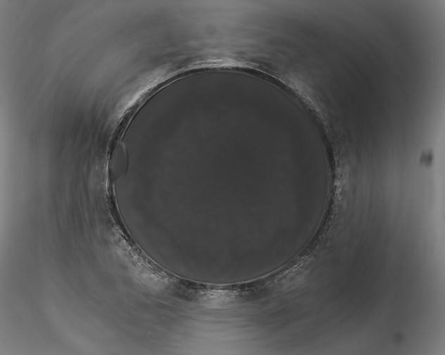 X0000114521173200911301109