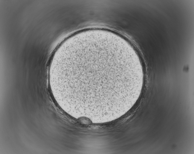 X0000114521175200911301109