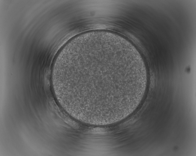 X0000114521178200911301109