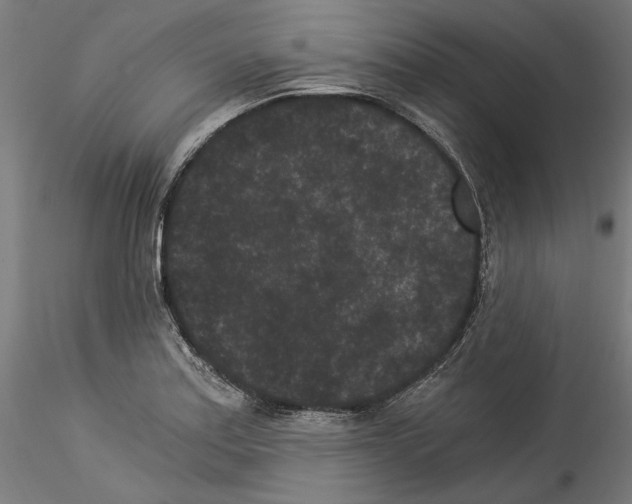 X0000114521179200911301109