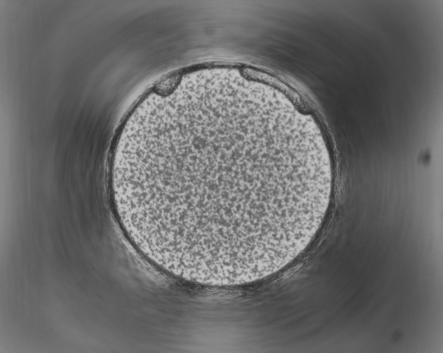 X0000114521183200911301109