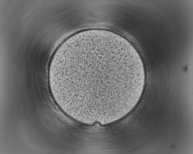 X0000114521184200911301109