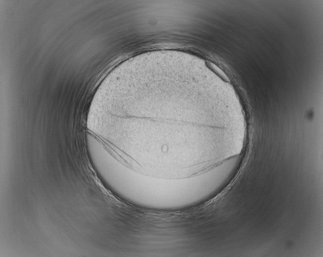 X0000114521185200911301109