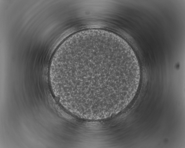 X0000114521186200911301109