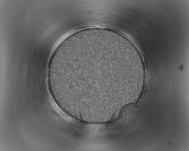 X0000114521187200911301109