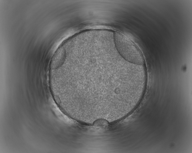 X0000114521189200911301109