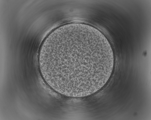 X0000114521190200911301109