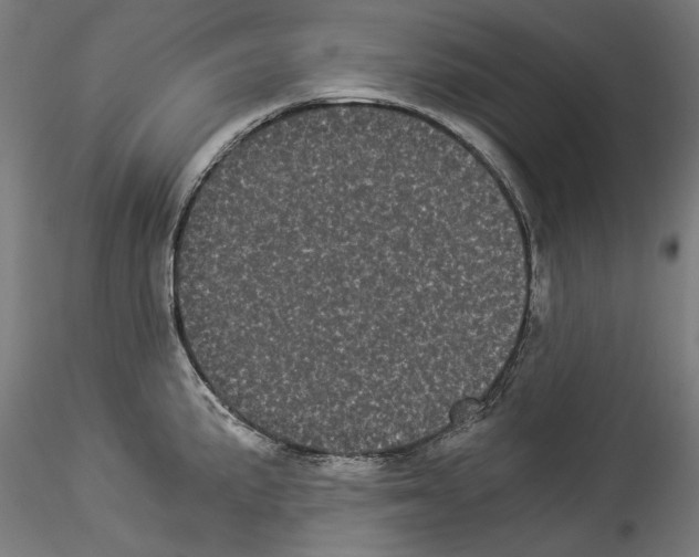 X0000114521191200911301109