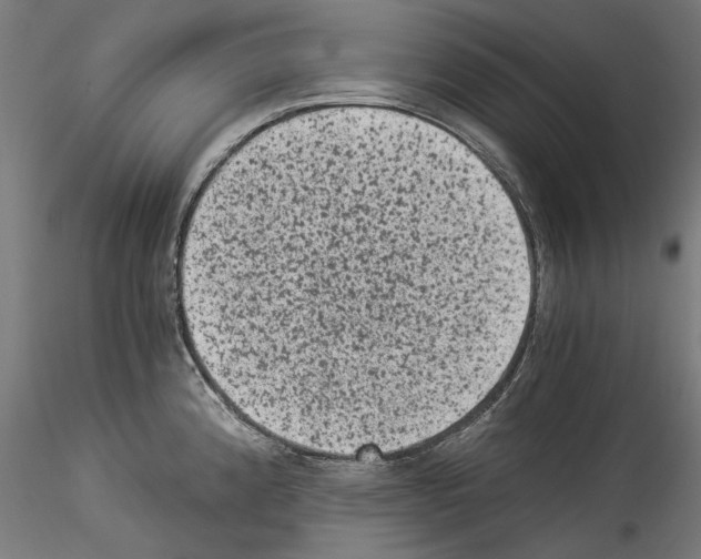 X0000114521192200911301109