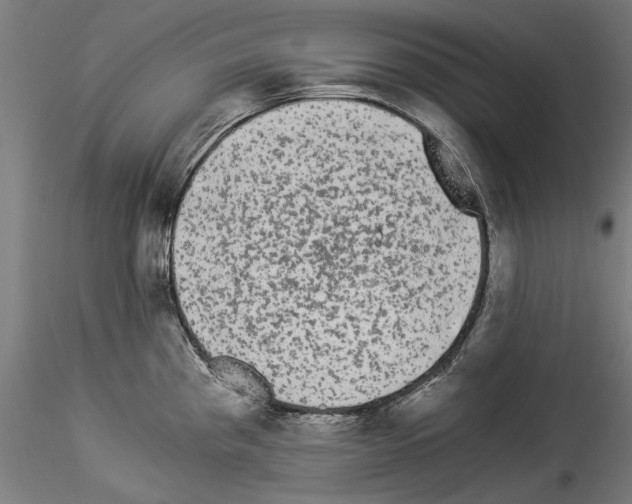 X0000114521193200911301109