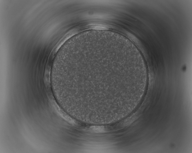 X0000114521194200911301109