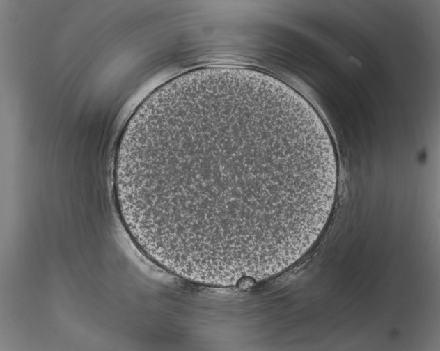 X0000114521195200911301109