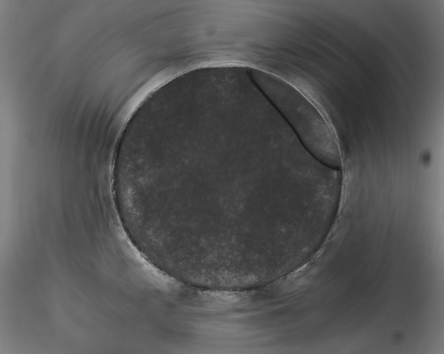 X0000114521197200911301109