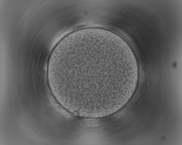 X0000114521198200911301109