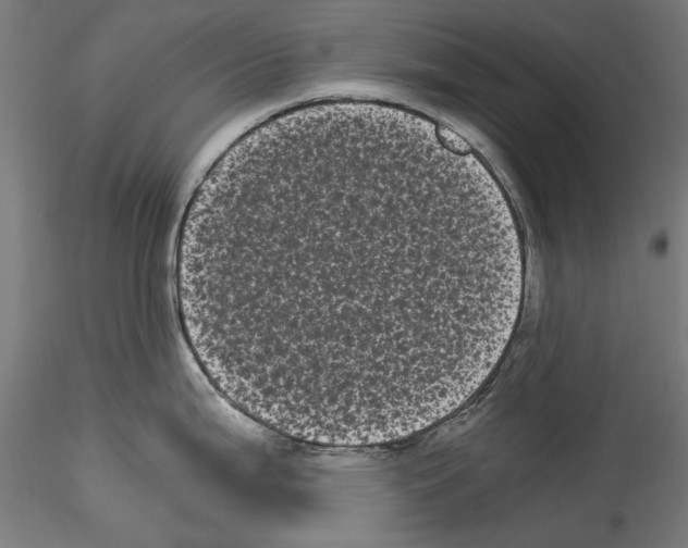 X0000114521199200911301109