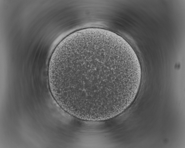 X0000114521200200911301109