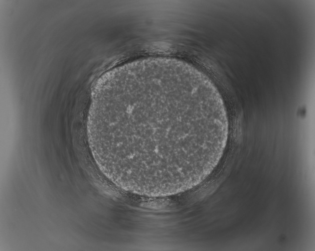 X0000114521201200911301108