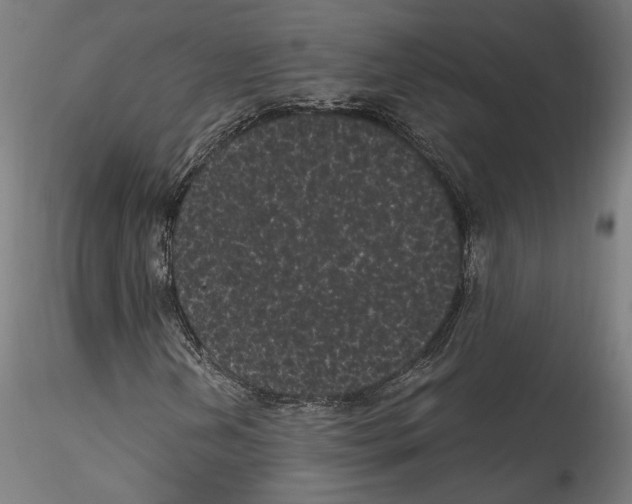 X0000114521202200911301108